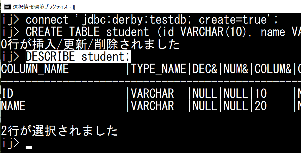 Cnode Io SQL文および実行結果の保存